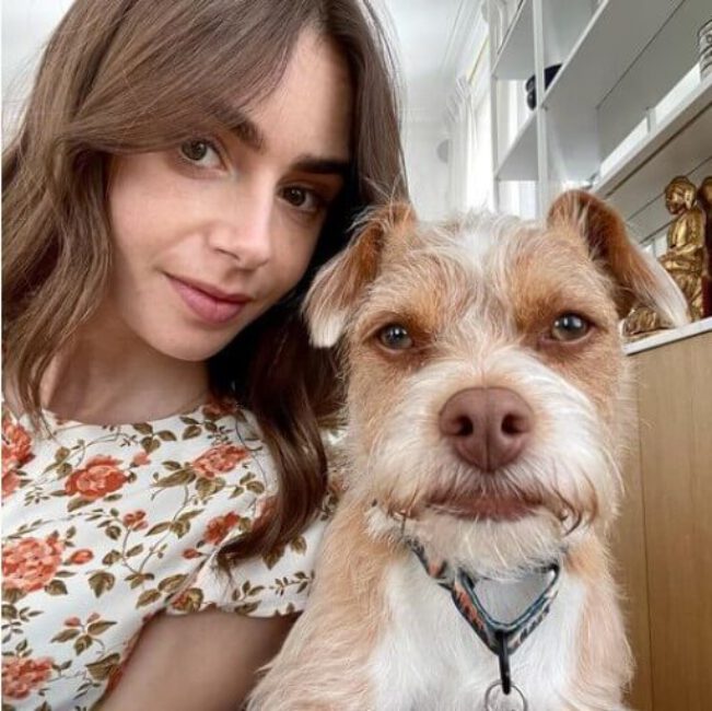 Lily Collins6